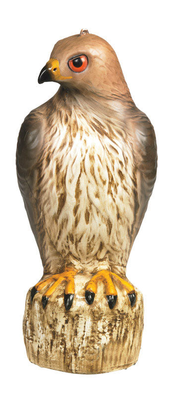 Bird-B-Gone Bird Deterrent Decoy For Assorted Species