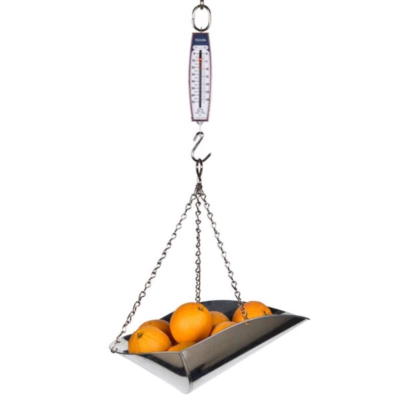 Taylor White Analog Hanging Scale 70 lb
