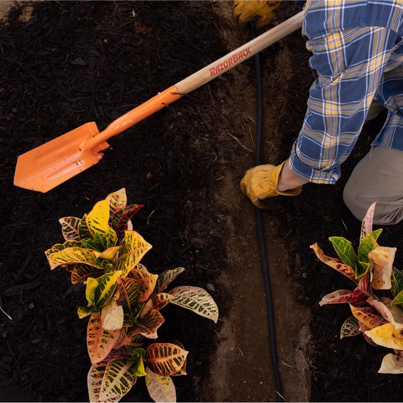 Razor-Back 57.63 in. Steel Trenching Shovel Wood Handle