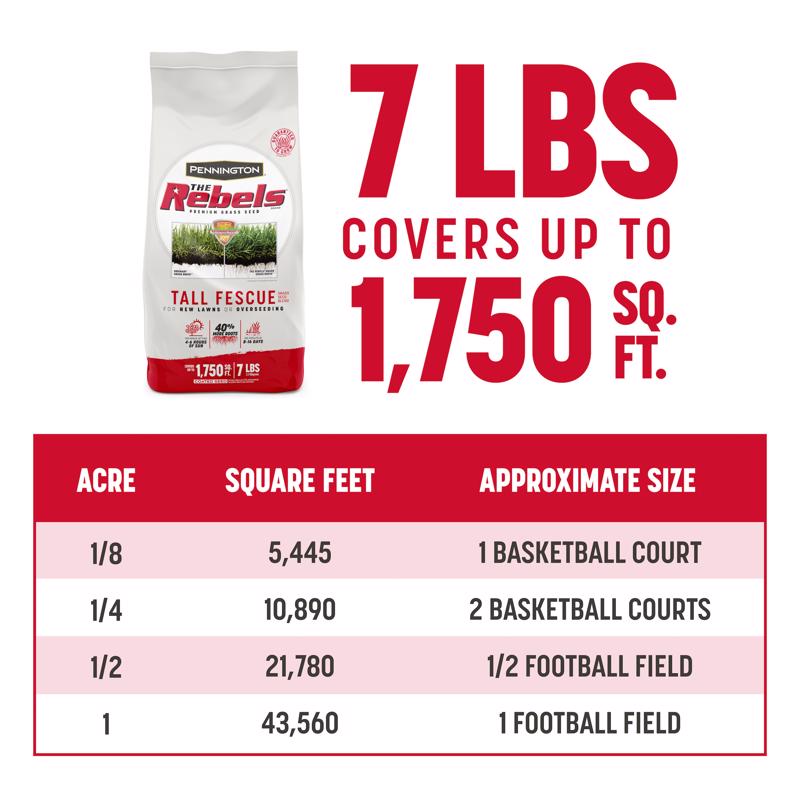 Pennington The Rebels Tall Fescue Grass Sun or Shade Grass Seed 7 lb