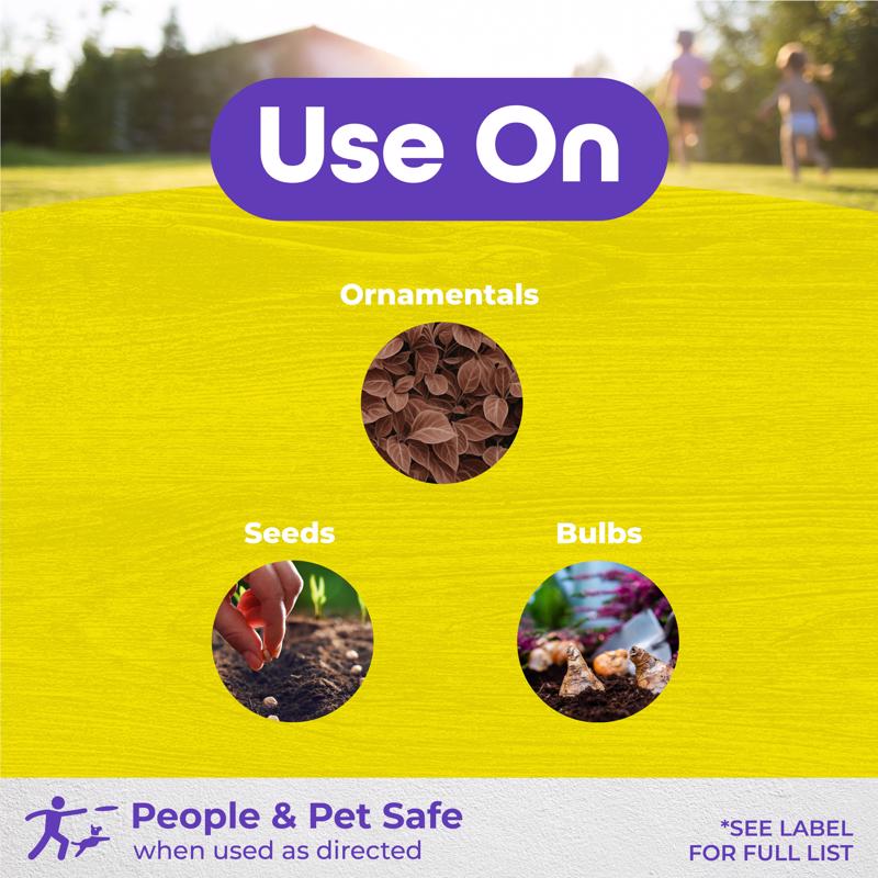 Bonide MoleMax Animal Repellent Granules For Moles and Voles 5 lb