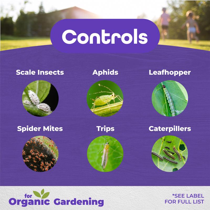 Bonide All seasons Organic Horticultural Spray Oil Liquid Concentrate 16 oz