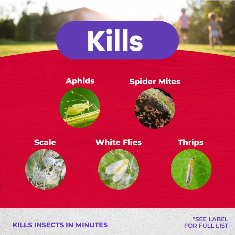Bonide Multi-Purpose Organic Insect Killing Soap Liquid 32 oz