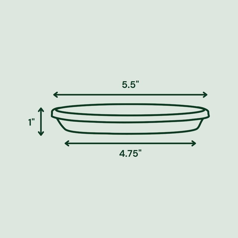 Bloem Terra 1.2 in. H X 5.5 in. W X 5.5 in. D X 5.5 in. D Resin Traditional Plant Saucer Terra Cotta