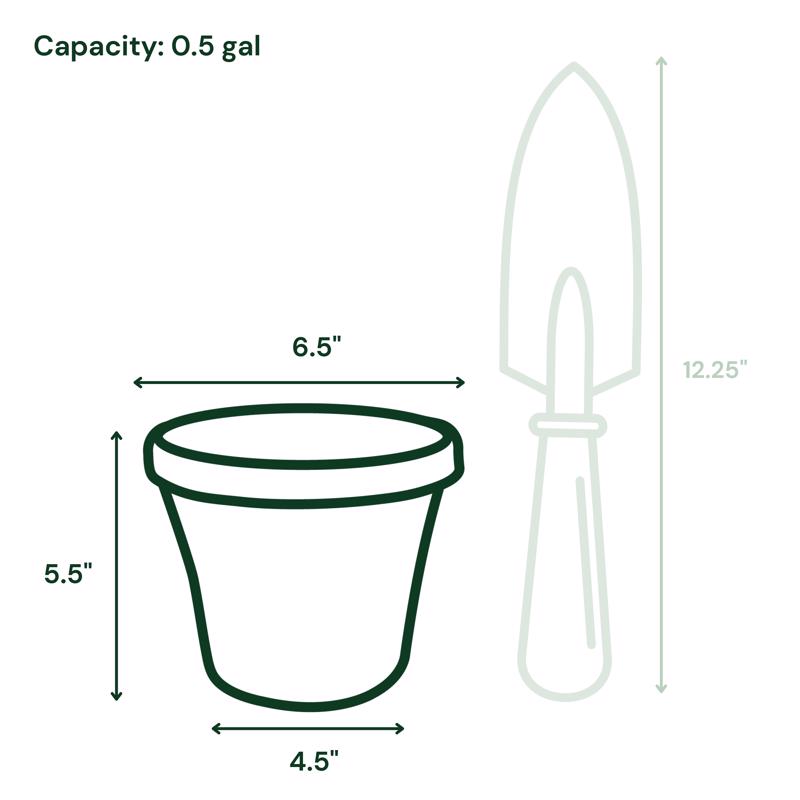 Bloem Terra 5.5 in. H X 6.5 in. W Resin Traditional Planter Terra Cotta
