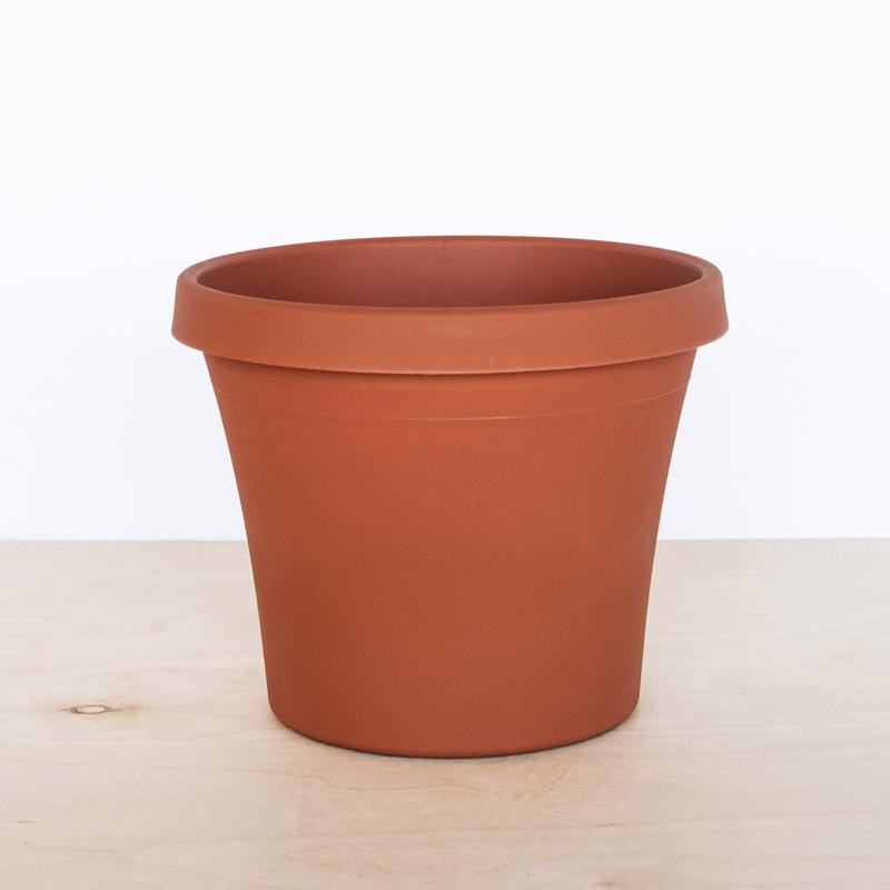 Bloem Terra 8.25 in. H X 7.5 in. W X 10.75 in. D Resin Traditional Planter Terra Cotta