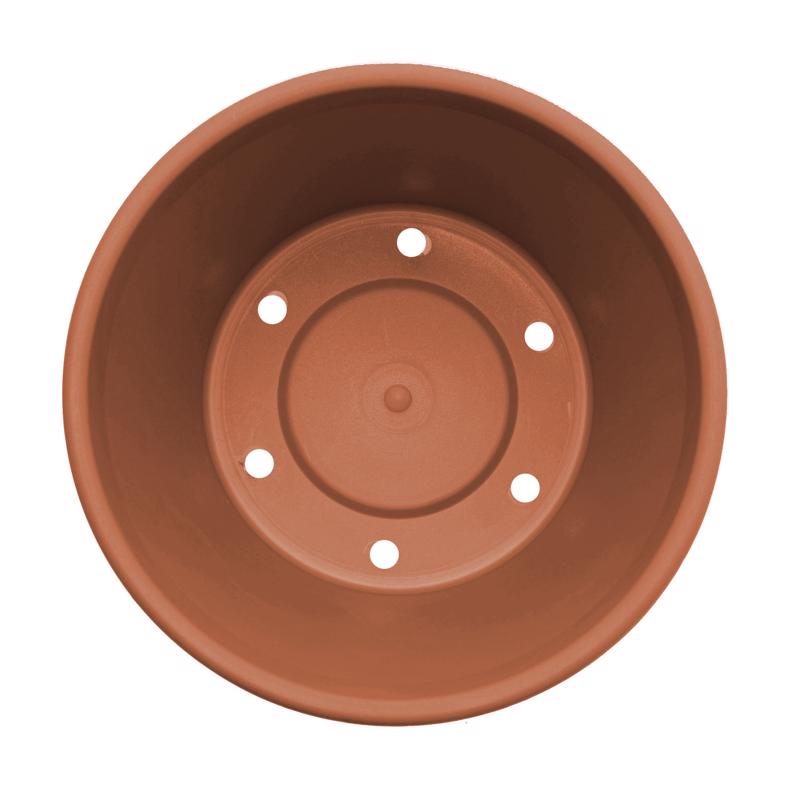Bloem Terra 3.75 in. H X 4.25 in. W Resin Traditional Planter Terra Cotta