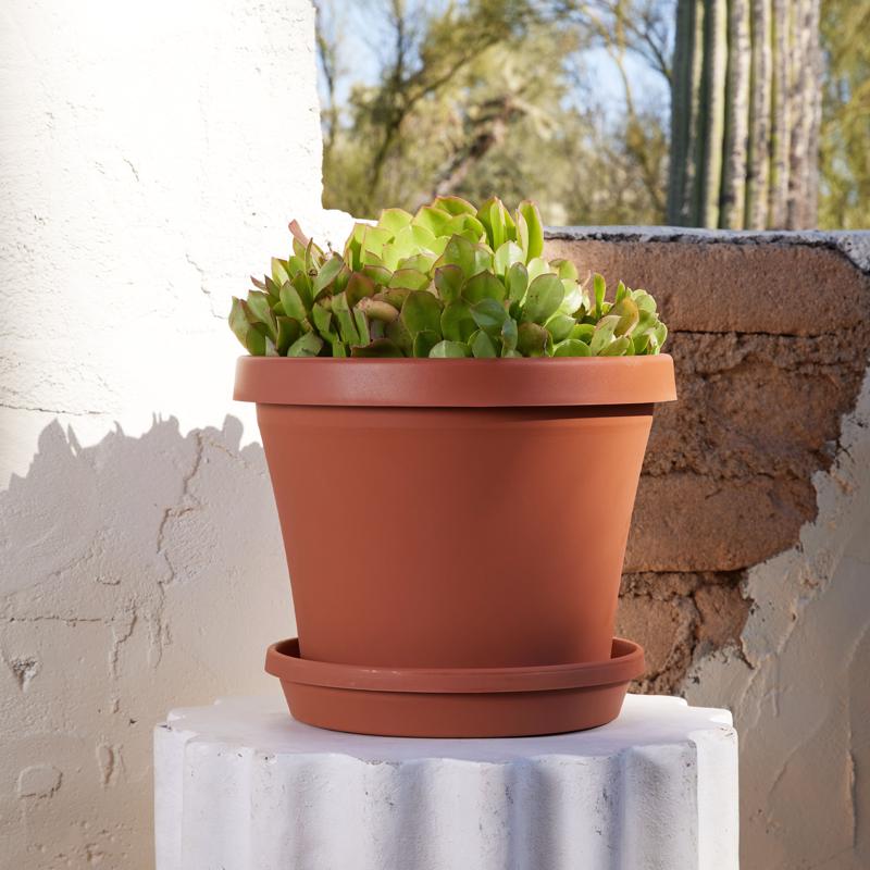 Bloem Terra 2.5 in. H X 11.25 in. W X 13 in. D Plastic Traditional Plant Saucer Terra Cotta