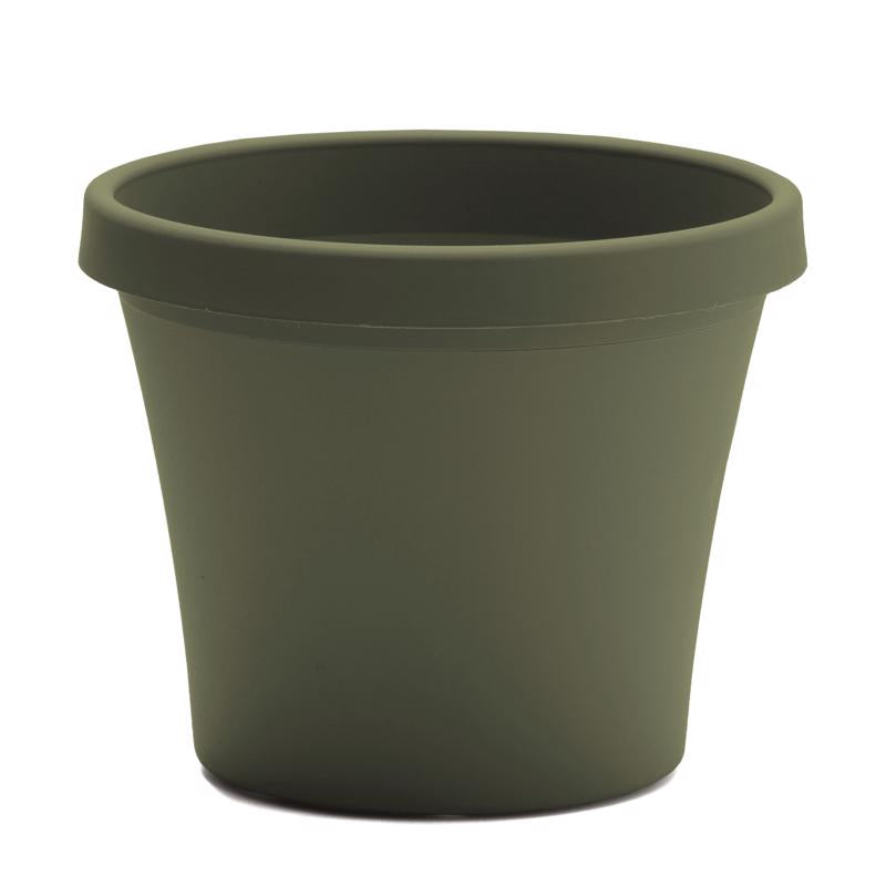 Bloem Terra 14.25 in. H X 17.25 in. W Resin Traditional Planter Living Green