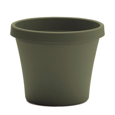 Bloem Terra 14.25 in. H X 17.25 in. W Resin Traditional Planter Living Green