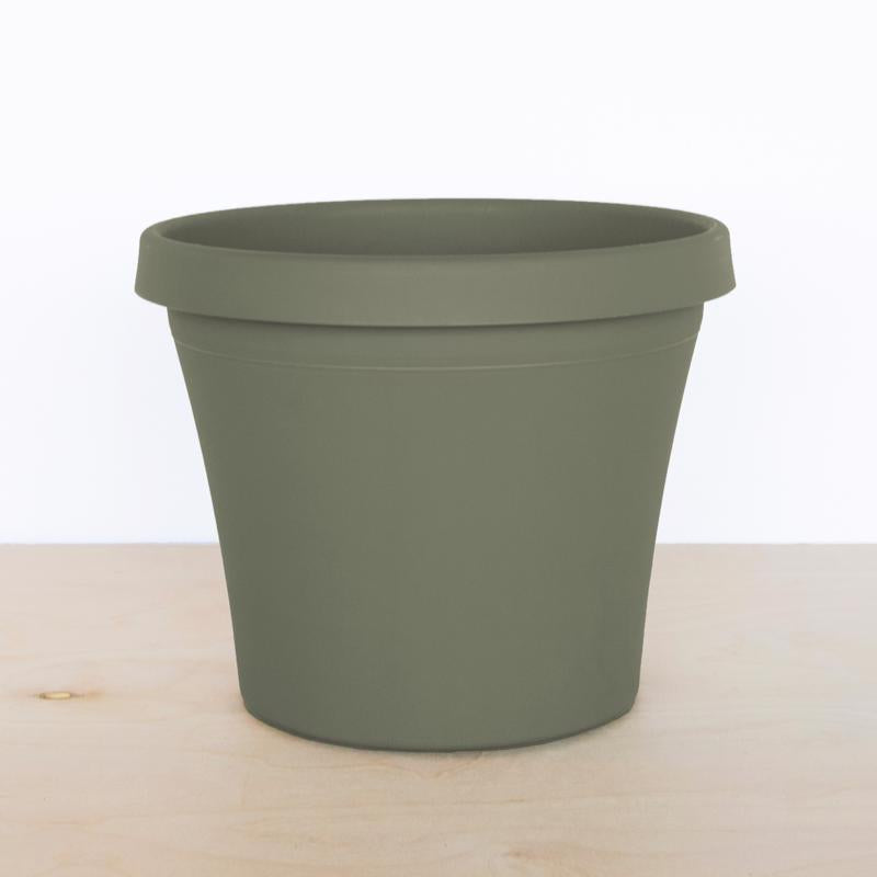 Bloem Terra 14.25 in. H X 17.25 in. W Resin Traditional Planter Living Green