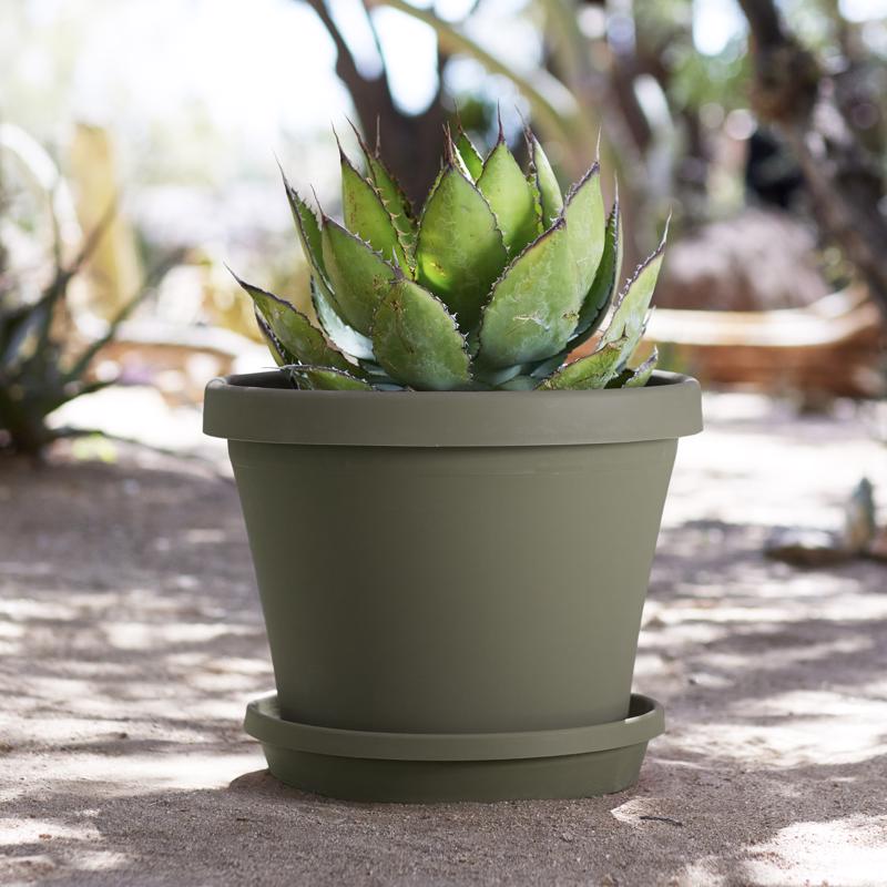 Bloem Terra 14.25 in. H X 17.25 in. W Resin Traditional Planter Living Green