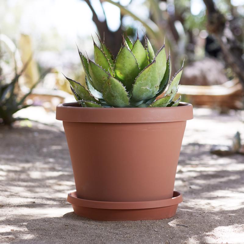 Bloem Terra 2.75 in. H X 12.75 in. W X 14.75 in. D Resin Traditional Plant Saucer Terra Cotta