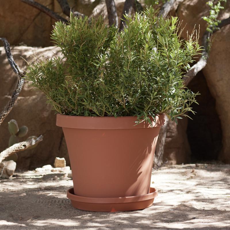 Bloem Terra 2.8 in. H X 17 in. W X 17 in. D X 17 in. D Resin Traditional Plant Saucer Terra Cotta