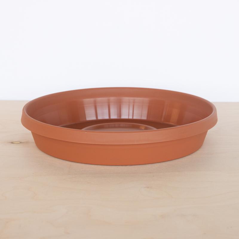 Bloem Terra 0.7 in. H X 3.75 in. D Resin Traditional Plant Saucer Terra Cotta