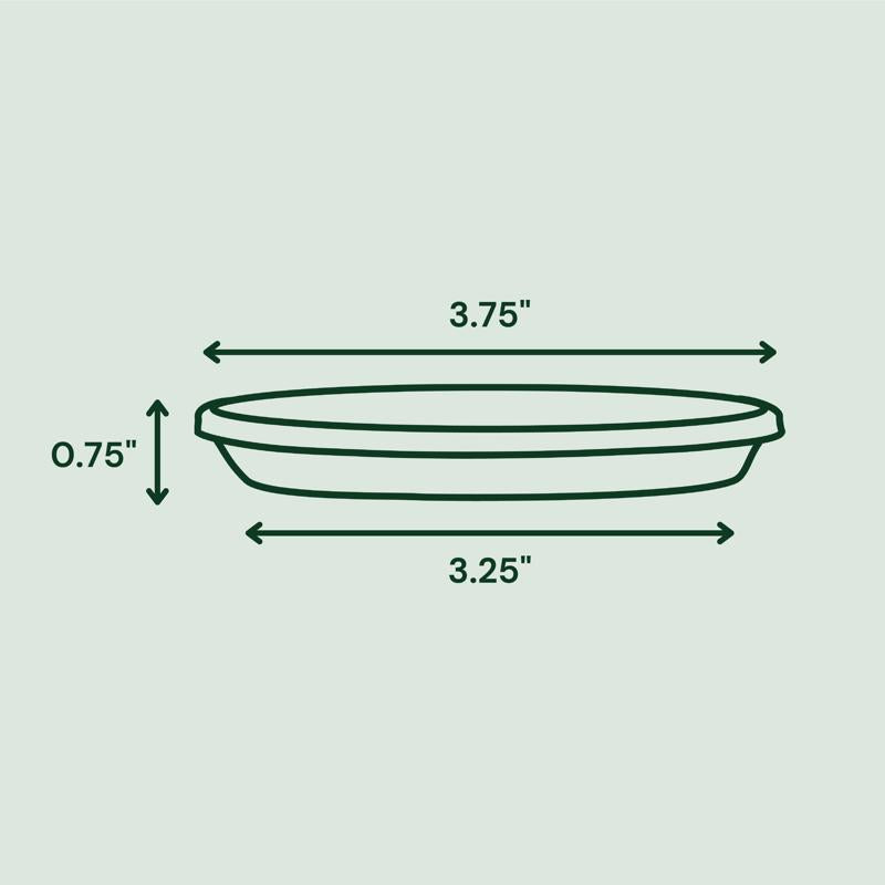 Bloem Terra 0.7 in. H X 3.75 in. D Resin Traditional Plant Saucer Terra Cotta