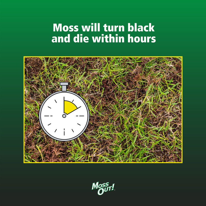 Lilly Miller Moss Out Moss Killer RTU Liquid 1 gal