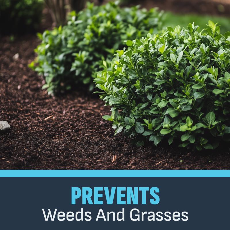 Lilly Miller Image Weed and Grass Killer Granules 8 lb