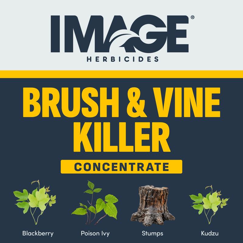 Lilly Miller Image Brush and Vine Killer Concentrate 1 qt