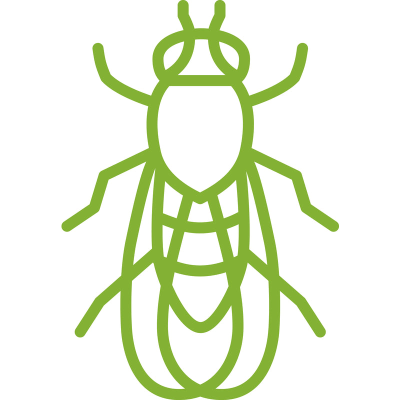 BUGG BUGGINS Original Insect Repellent Liquid For Gnats/No-See-Ums 4 oz