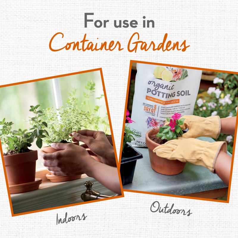 Whitney Farms Organic Fruit and Vegetable Potting Soil 8 qt