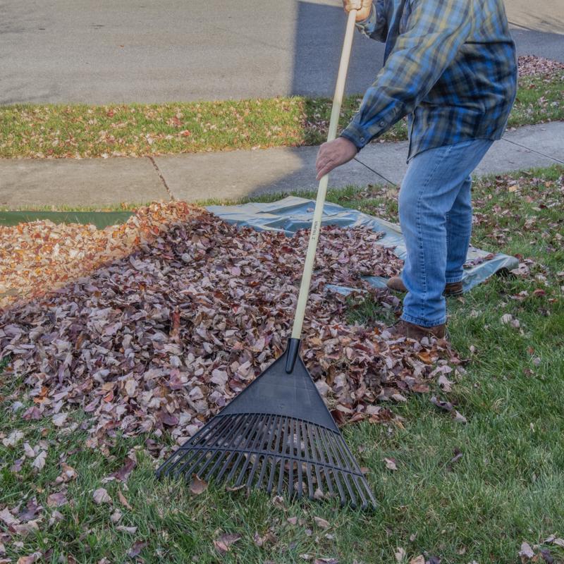 Truper 61 in. 22 Tine Poly Rake Wood Handle