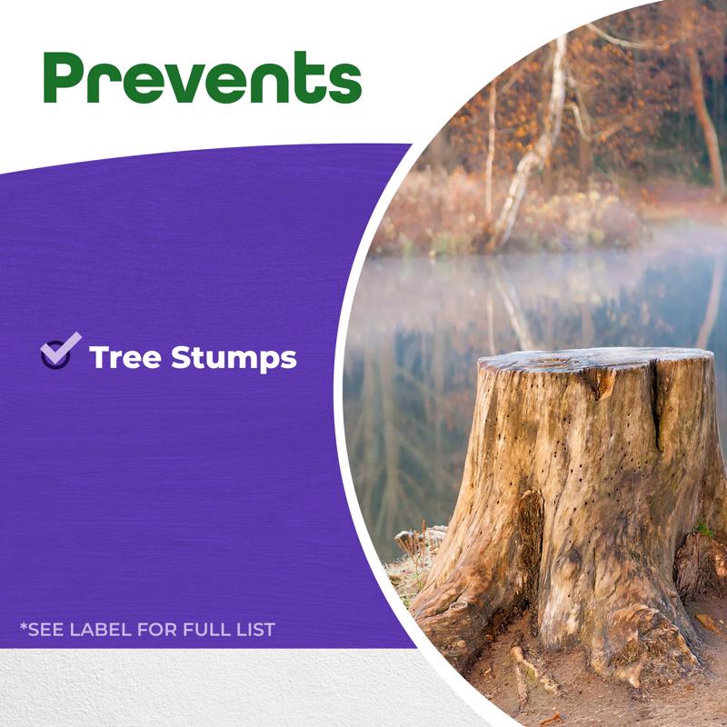 Bonide Stump Out Tree Roots Decomposition Accelerator Granules 1 lb
