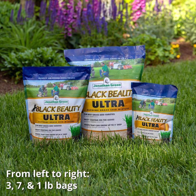 Jonathan Green Black Beauty Ultra All Grasses Sun or Shade Grass Seed 3 lb