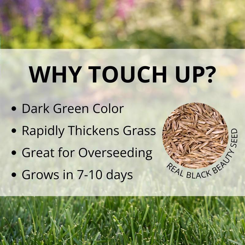 Jonathan Green Touch-Up Perennial Ryegrass Sun or Shade Grass Seed 3 lb