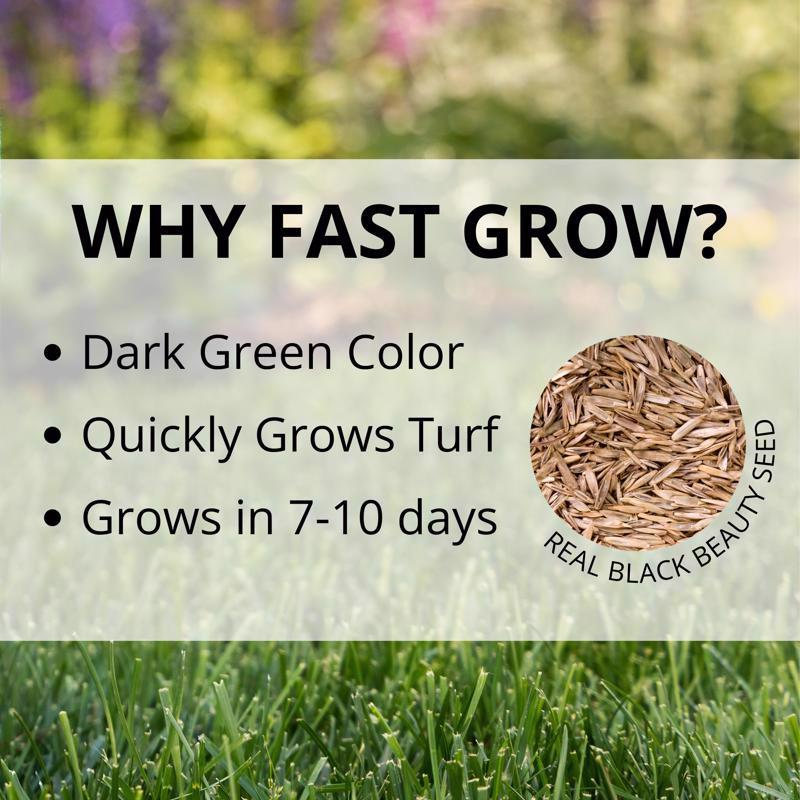 Jonathan Green Fast Grow Mixed Sun or Shade Grass Seed 3 lb