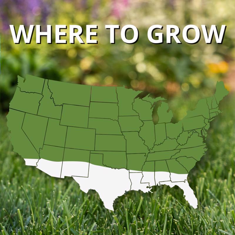 Jonathan Green Fast Grow Mixed Sun or Shade Grass Seed 7 lb
