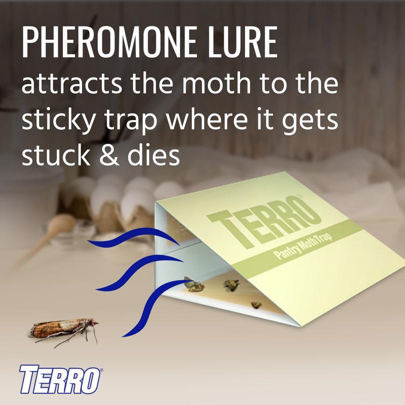 TERRO Pantry Moth Trap 2 pk
