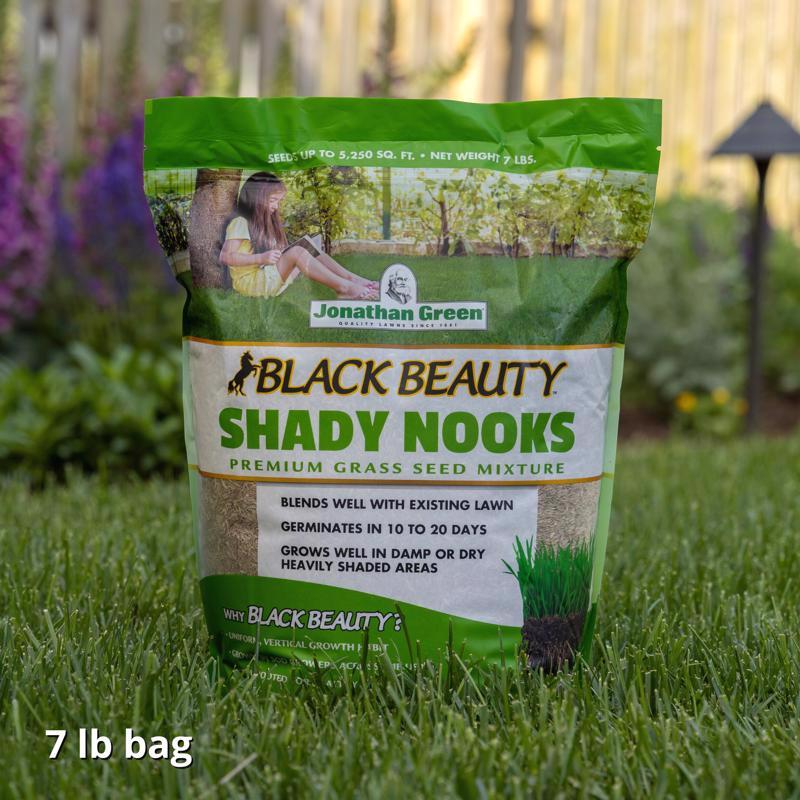 Jonathan Green Black Beauty Shady Nooks Mixed Full Shade Grass Seed 7 lb