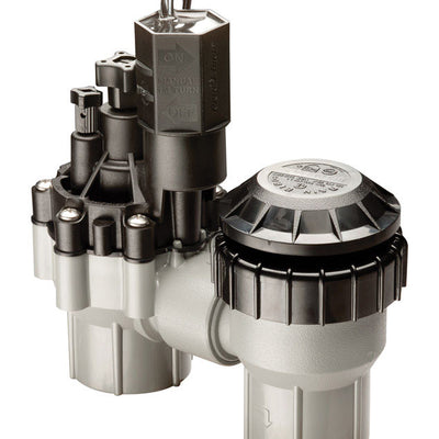 Rain Bird Anti-Siphon Valve 3/4 in. 150 psi