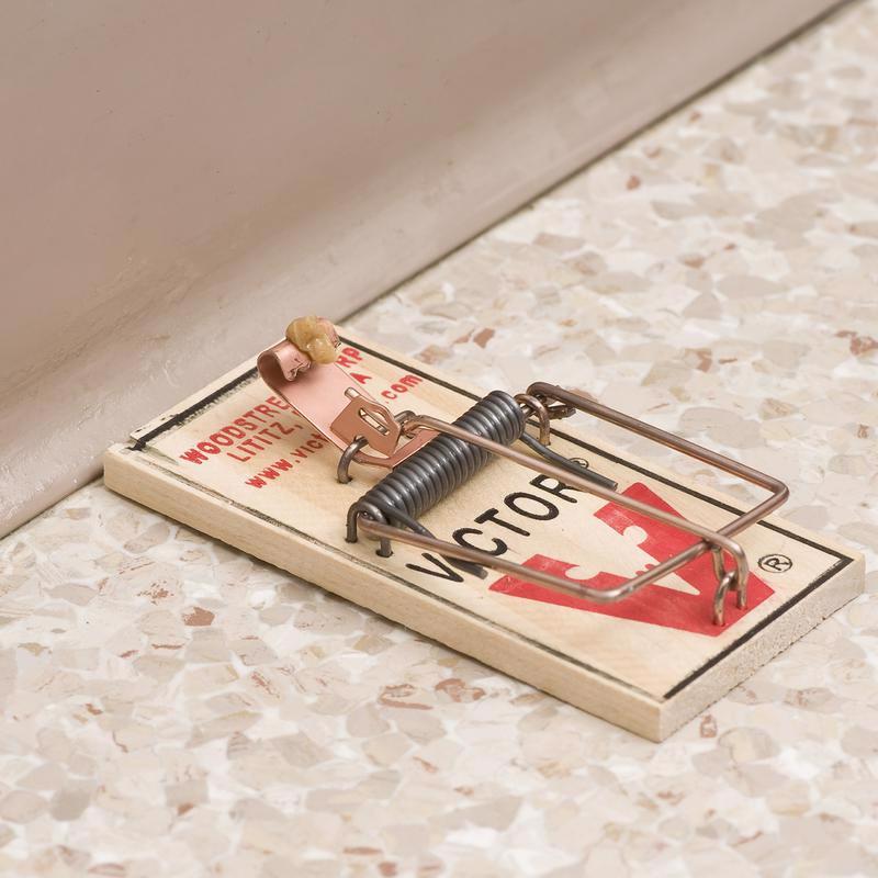 Victor Small Snap Trap For Mice