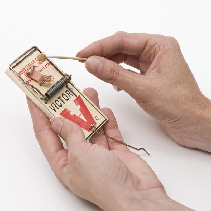 Victor Small Snap Trap For Mice