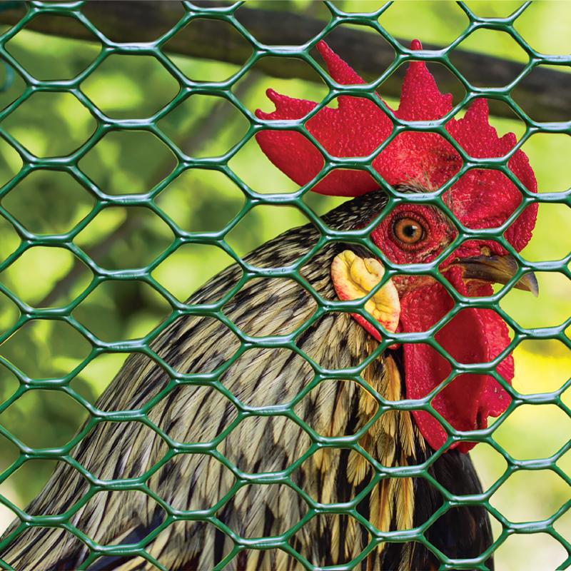 Garden Craft 24 in. H X 25 ft. L Plastic Poultry Fence 2 in.