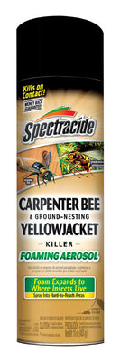 Spectracide Insect Killer Foam 16 oz