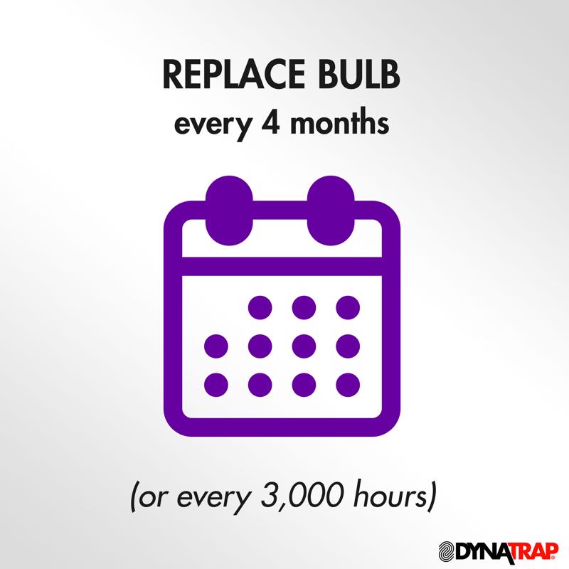 DynaTrap Outdoor Electric Insect Killer Replacement Bulb 7 W