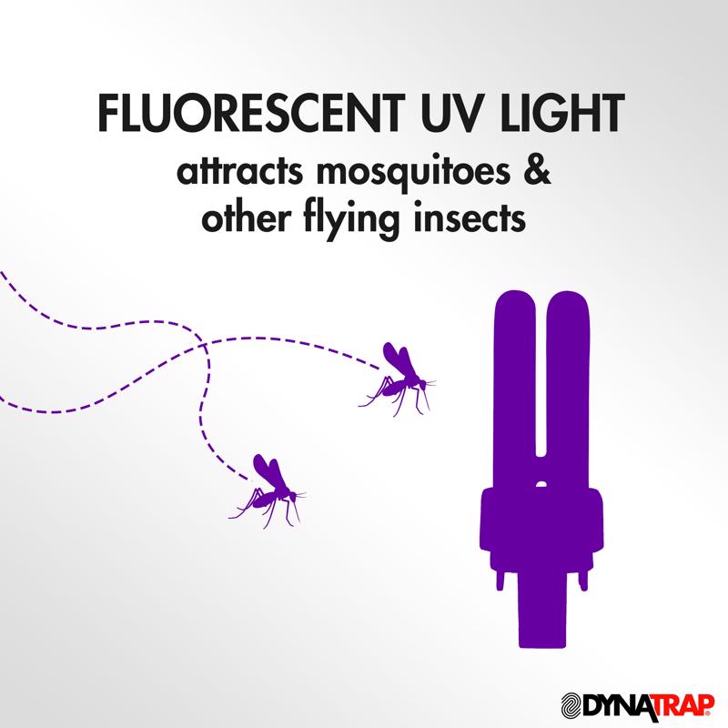 DynaTrap Outdoor Electric Insect Killer Replacement Bulb 7 W