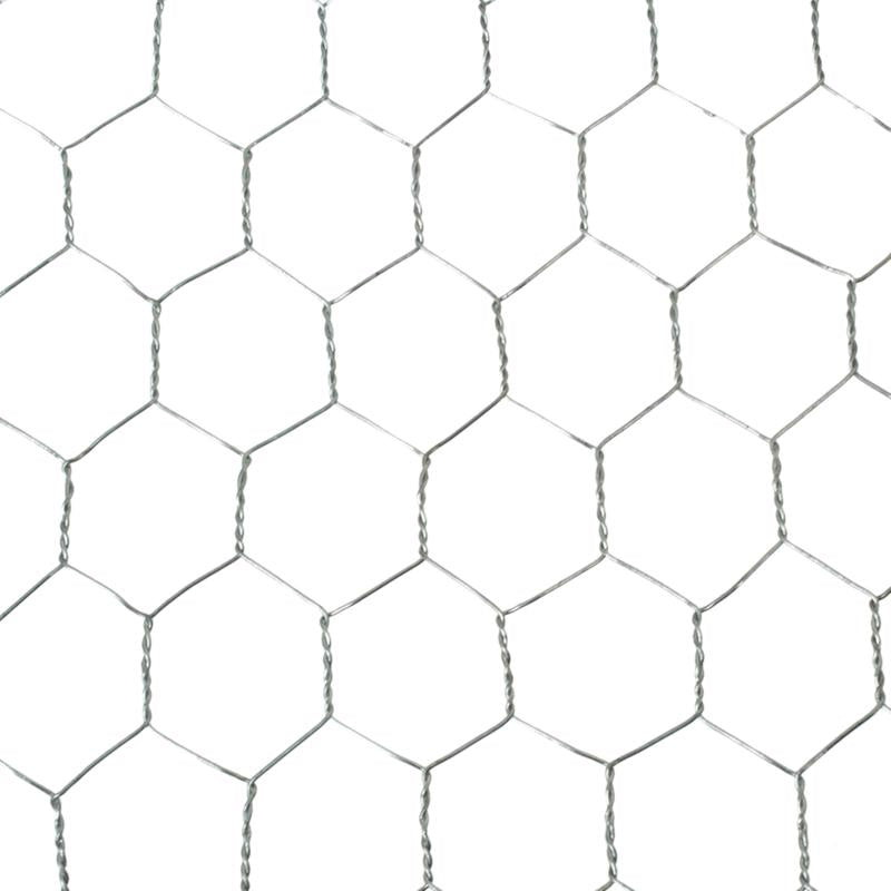 Garden Craft 36 in. H X 50 ft. L Galvanized Steel Poultry Netting 1 in.