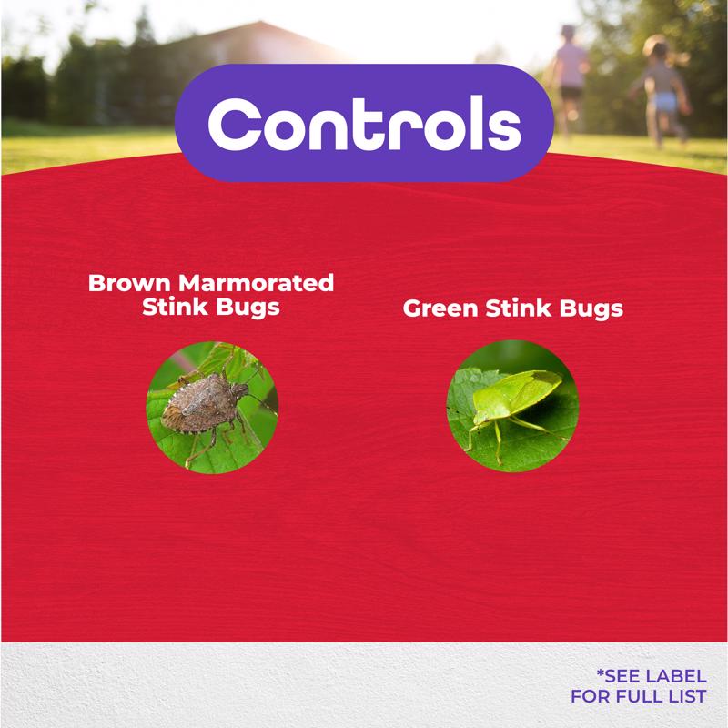Bonide Bug Beater Stink Bug Trap 3 pk
