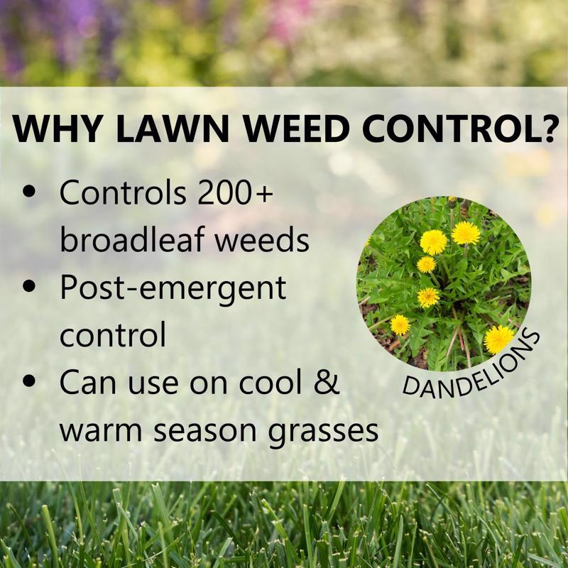 Jonathan Green Lawn Weed Control Weed Control Granules 10 lb