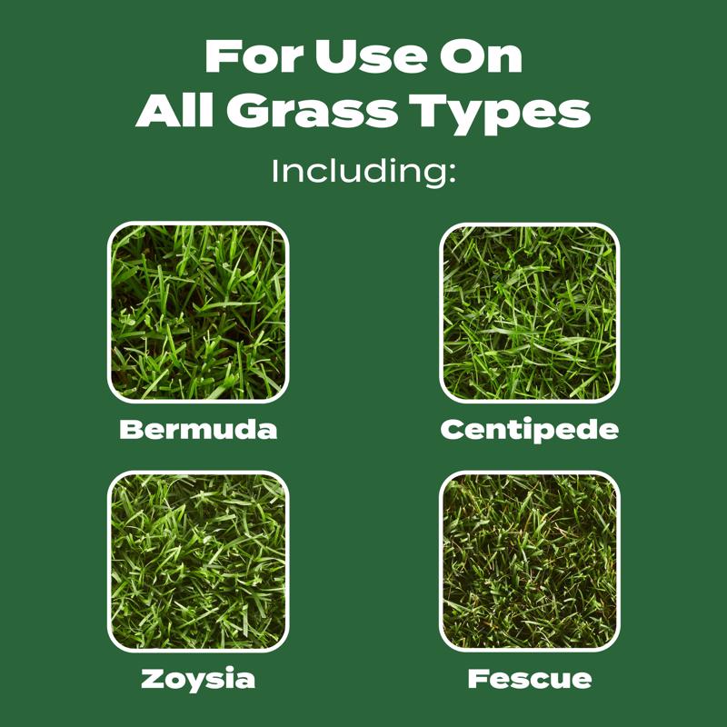 Scotts Turf Builder All-Purpose Lawn Food For All Grasses 15000 sq ft