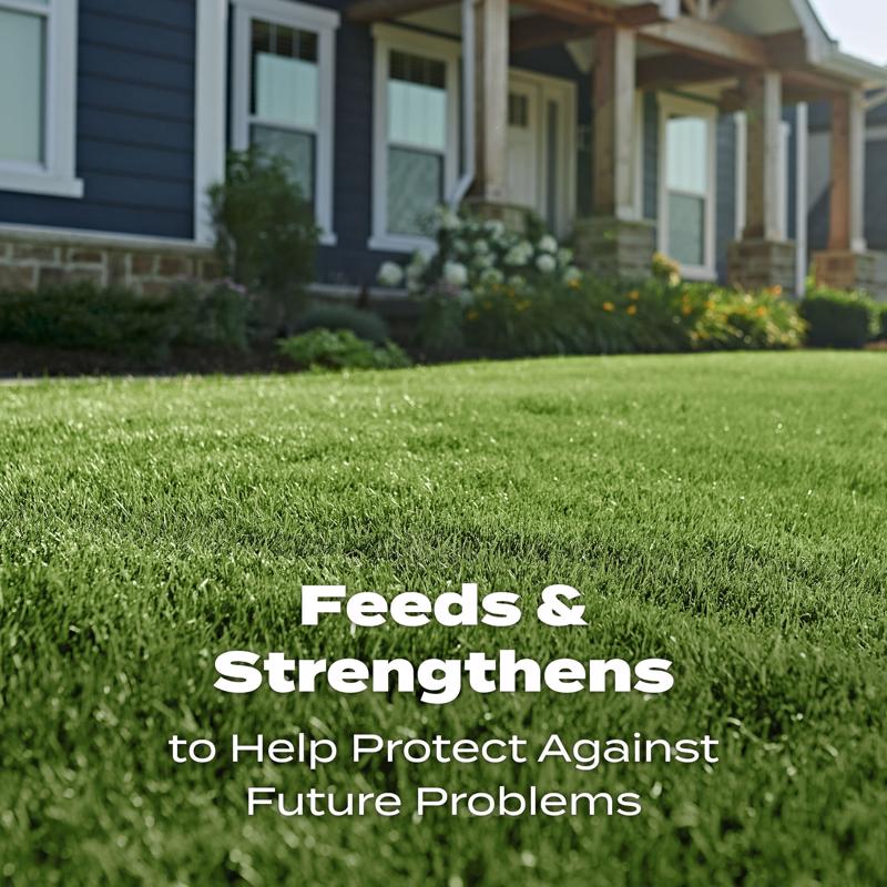 Scotts Turf Builder All-Purpose Lawn Food For All Grasses 15000 sq ft