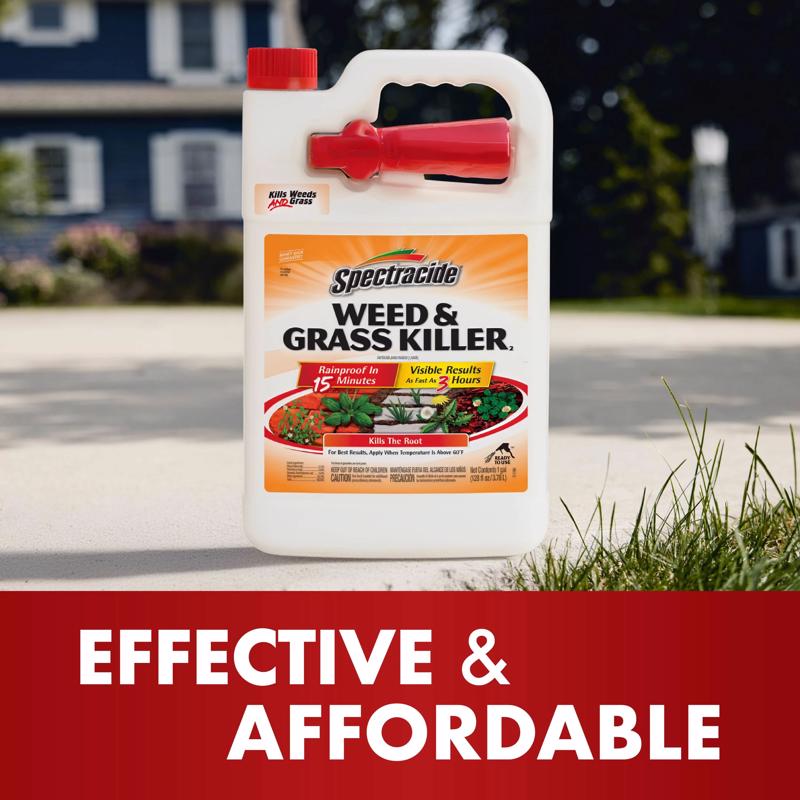 Spectracide Weed and Grass Killer RTU Liquid 1 gal