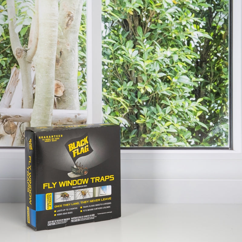 Black Flag Fly Window Trap 4 pk
