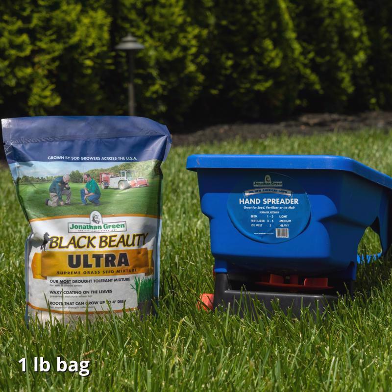 Jonathan Green Black Beauty Ultra All Grasses Sun or Shade Grass Seed 1 lb
