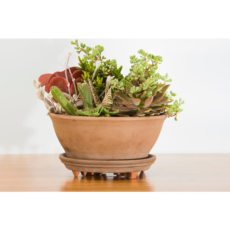 Down Under Decksaver 1 in. H X 12 in. W X 12 in. D Plastic Planter Trivet Clear
