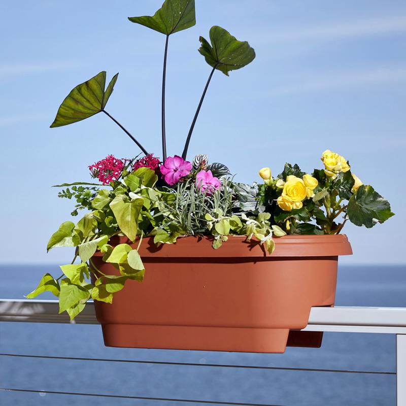 Bloem 9 in. H X 24 in. W X 12 in. D Plastic Deck Rail Planter Terracotta